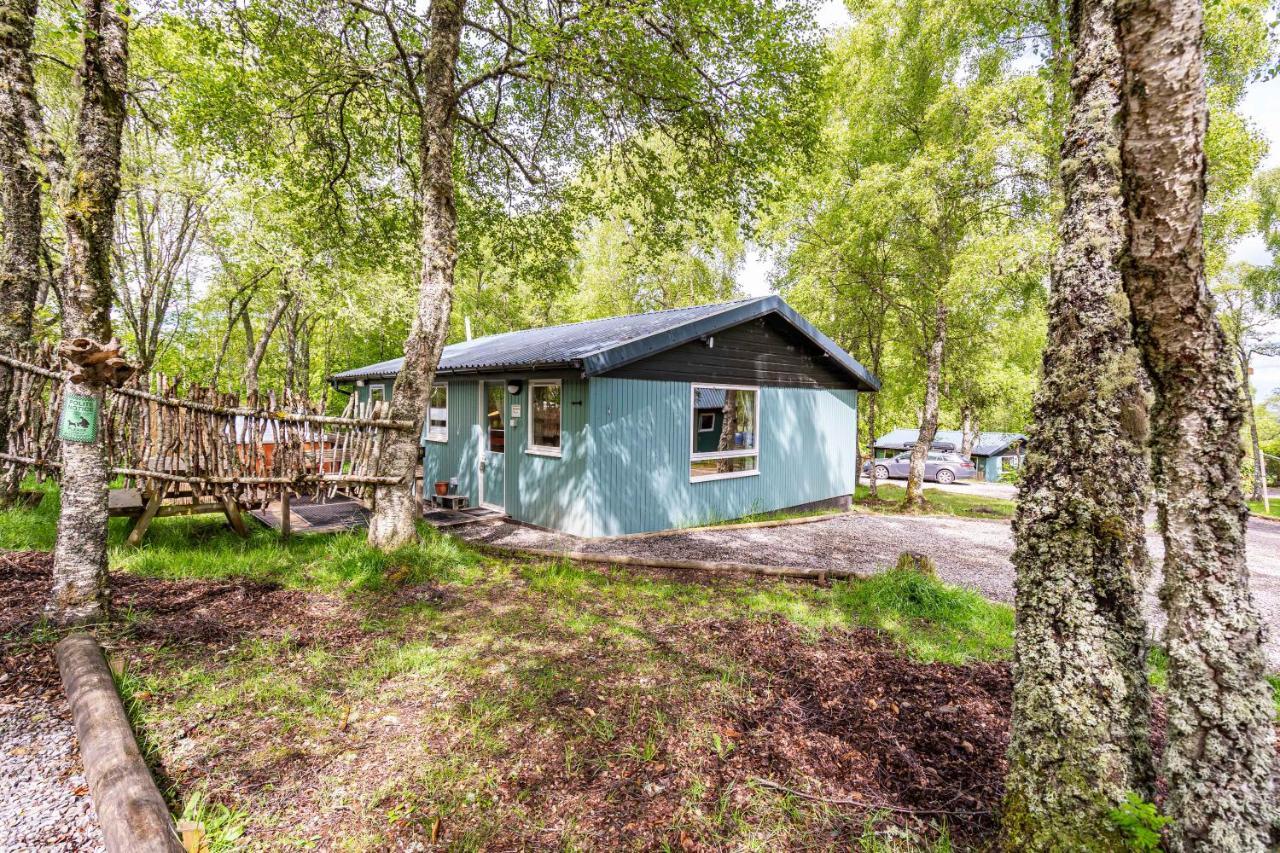 Heather Lodge 10 With Hot Tub Belladrum Екстериор снимка